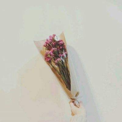 荡剑长歌内购破解版下载